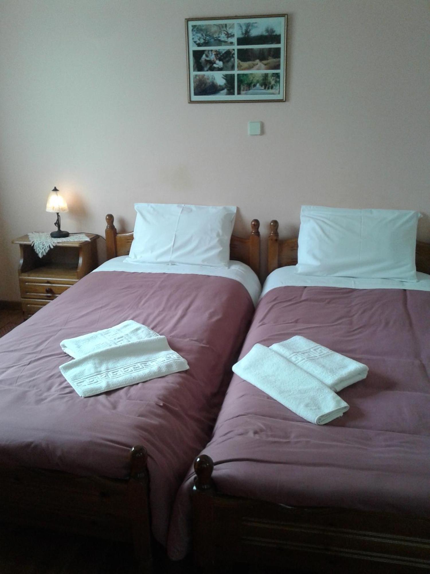 Zephyros Hotel Vitina Luaran gambar